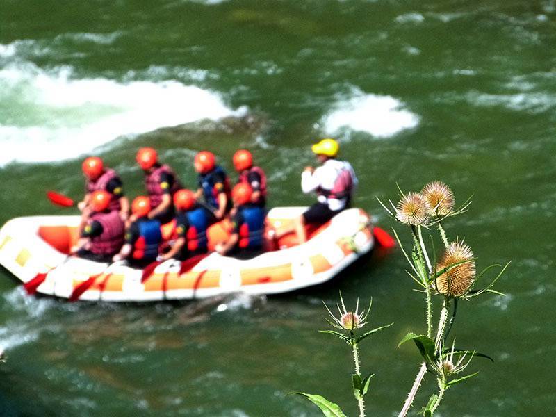 Viendo el paso de un rafting