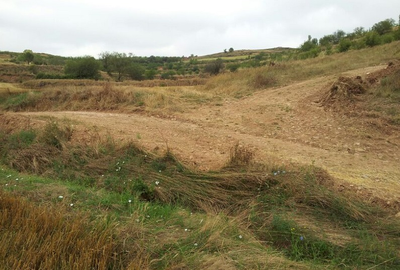 Foto: Diputaci&oacute;n de Soria