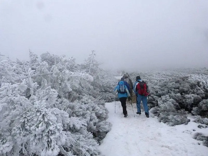 Entre la nieve