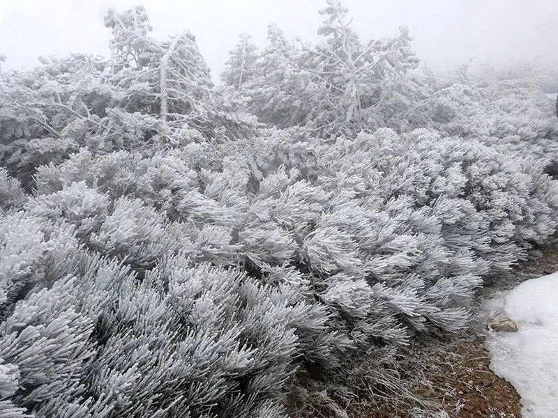 Cada vez m&aacute;s nieve