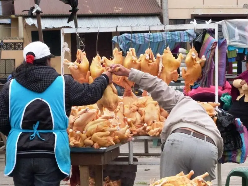 Puesto de pollos
