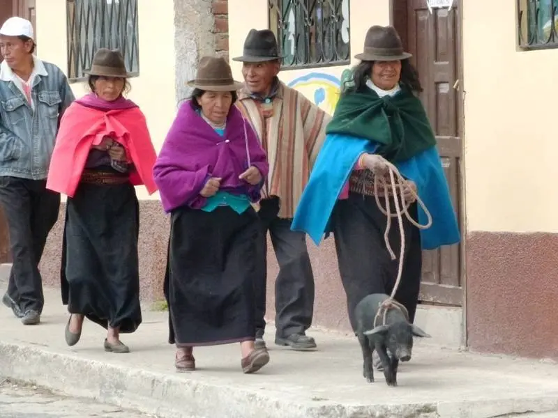 Con el cerdo reci&eacute;n comprado