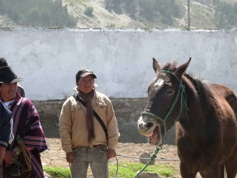 Caballo