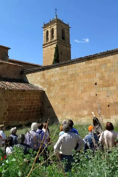 El origen de Soria. La ciudad subterr&aacute;nea. Foto: Lola G&oacute;mez Redondo