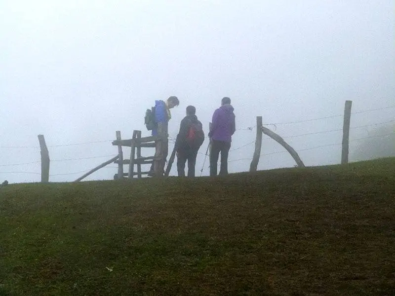 Niebla