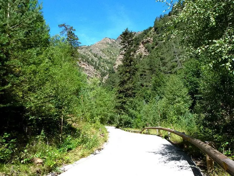 La estrecha carretera que sube