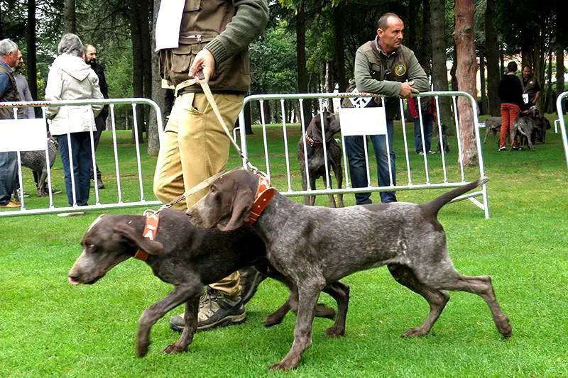 Foto: Lola G&oacute;mez