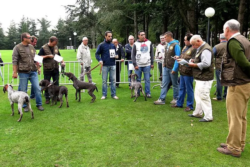 Foto: Lola G&oacute;mez