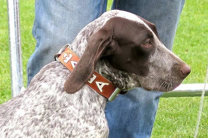 Foto: Lola G&oacute;mez