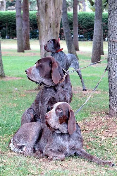 Foto: Lola G&oacute;mez