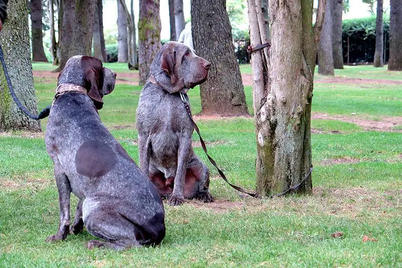 Foto: Lola G&oacute;mez