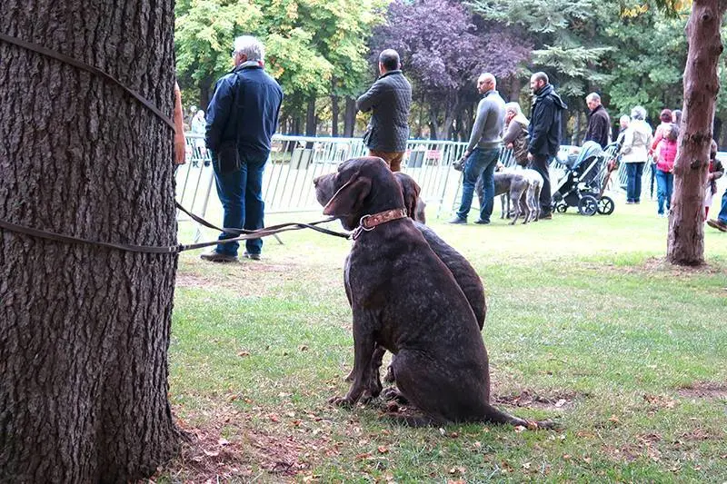 Foto: Lola G&oacute;mez