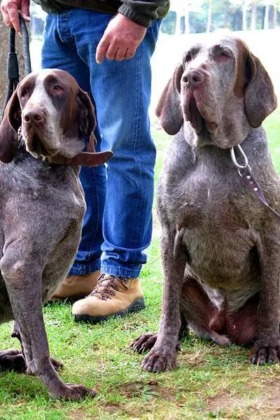 Foto: Lola G&oacute;mez
