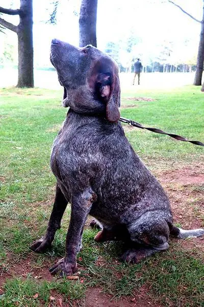 Foto: Lola G&oacute;mez
