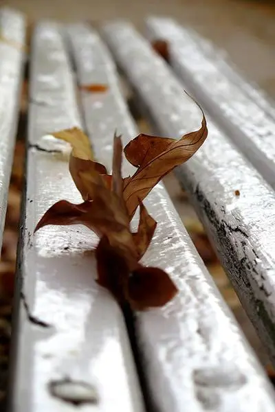 Foto: Lola G&oacute;mez