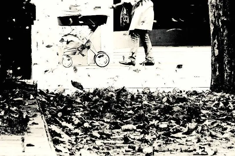 Foto: Lola G&oacute;mez