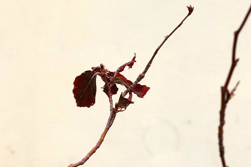 Foto: Lola G&oacute;mez