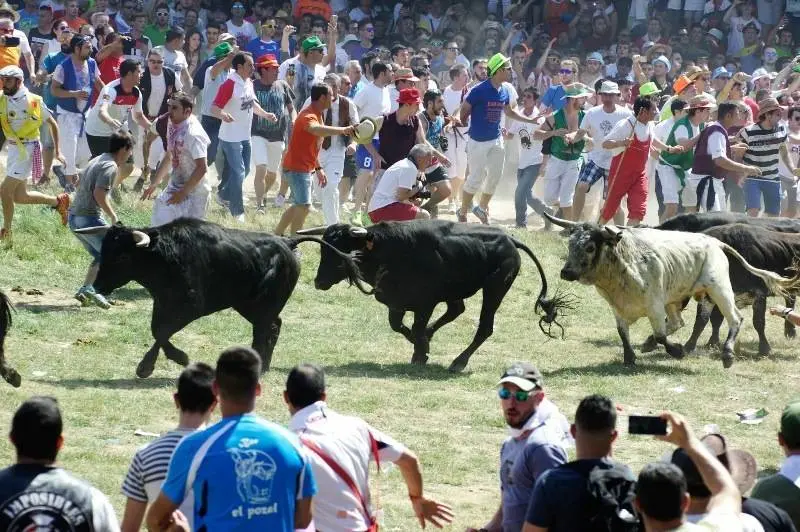 Foto: Santiago Farizano