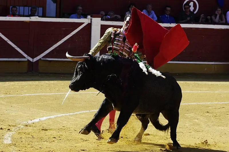 Foto: Santiago Farizano