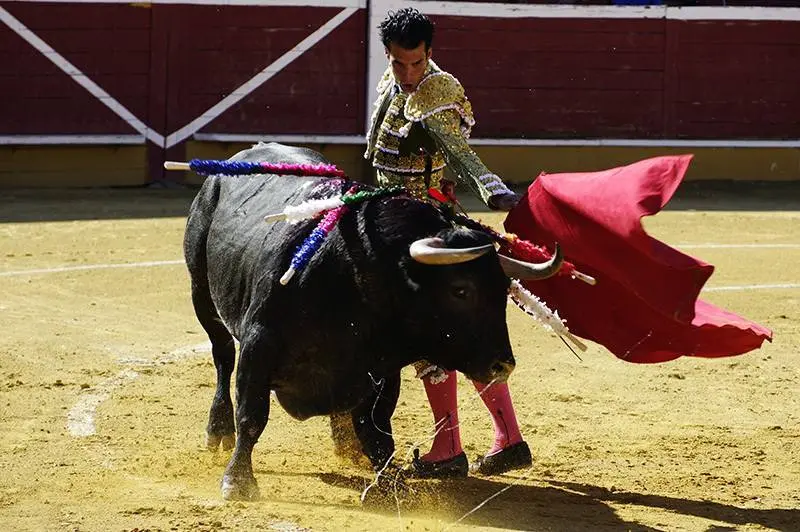Foto: Santiago Farizano