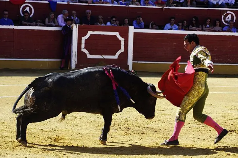 Foto: Santiago Farizano