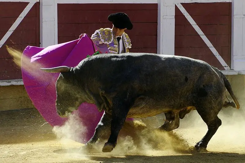 Foto: Santiago Farizano