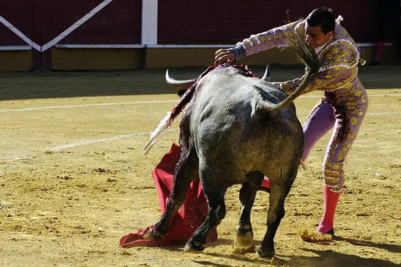 Foto: Santiago Farizano
