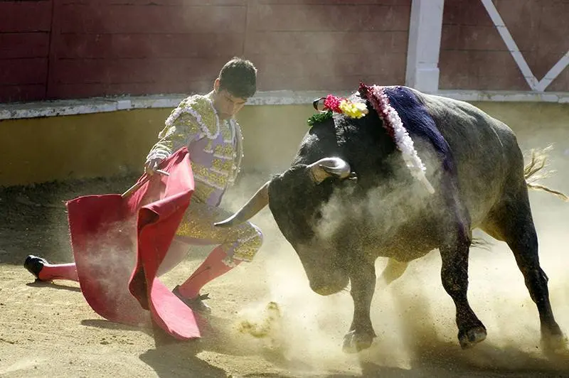 Foto: Santiago Farizano