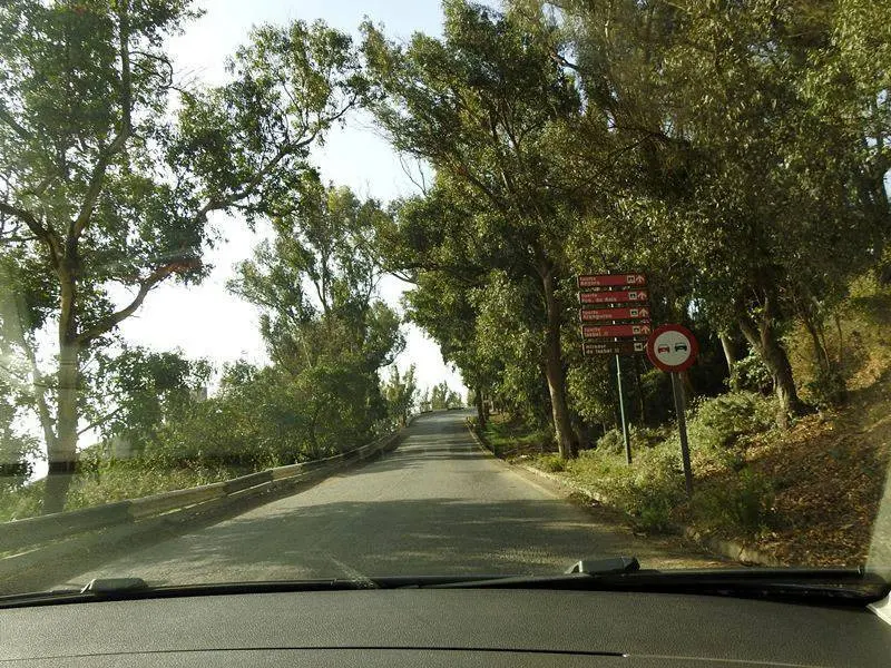 Vegetaci&oacute;n en el camino de subida