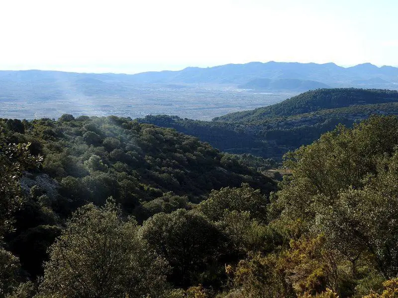 Paisaje mediterr&aacute;neo