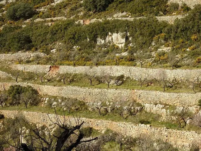 Terrazas