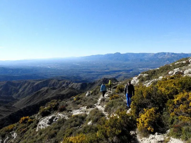 Cerca de cima