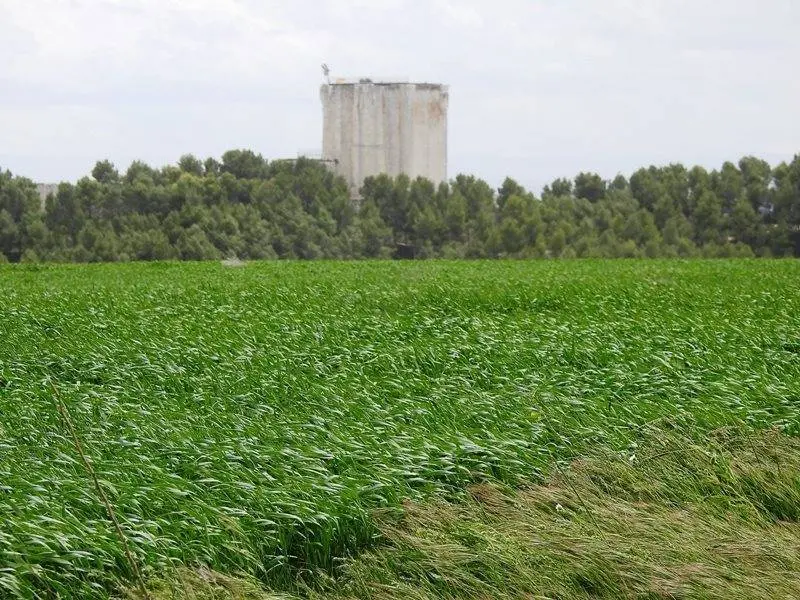 Cereal y castillo de &Iacute;scar