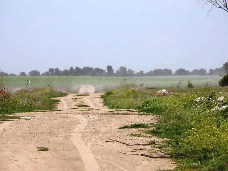 Caminos agr&iacute;colas de concentraci&oacute;n