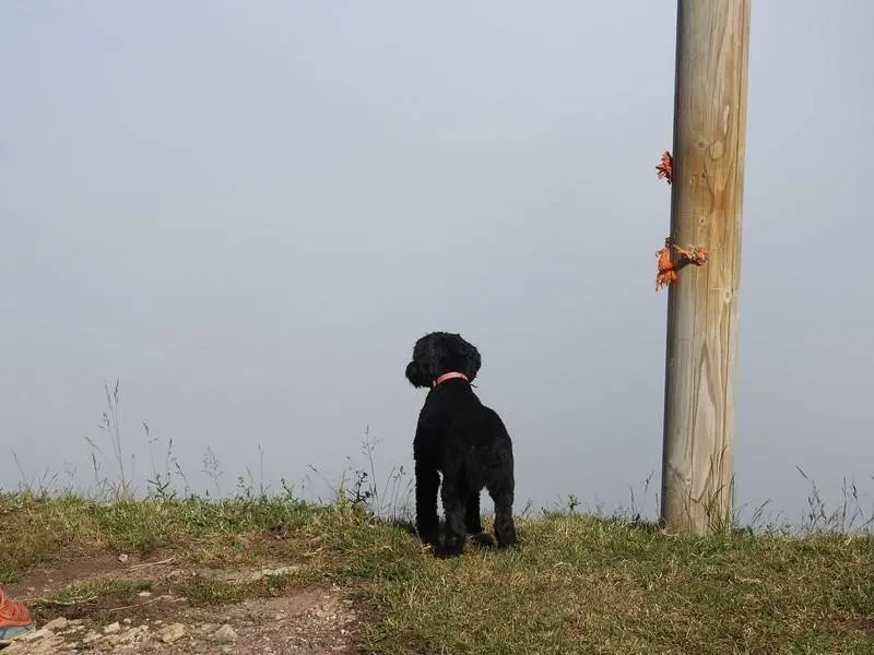 Mirando el paisaje