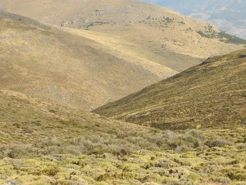 Comienzo del barranco de Cac&iacute;n