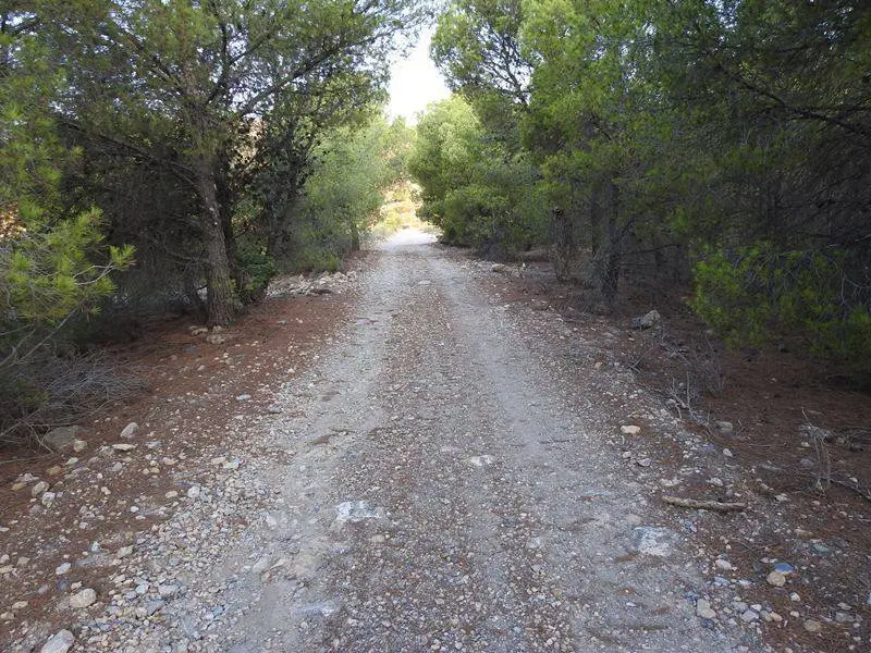 La segunda pista