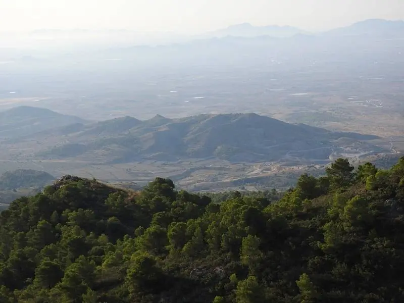Pinares