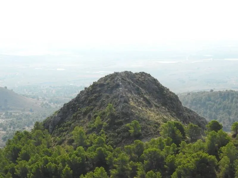 Bonita cresta