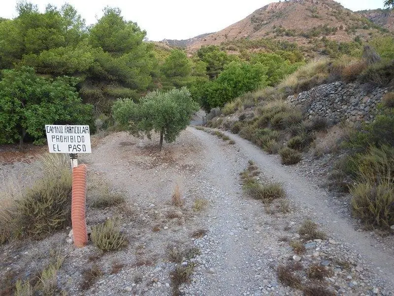 La primera pista