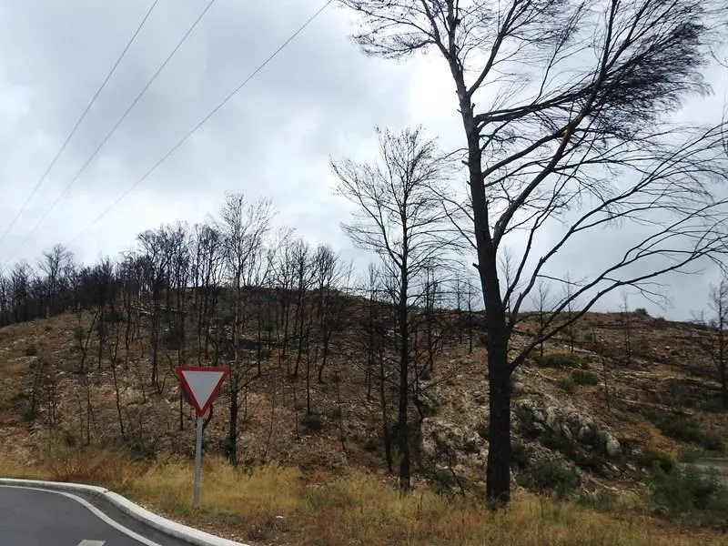 Incendio en la zona del a&ntilde;o pasado
