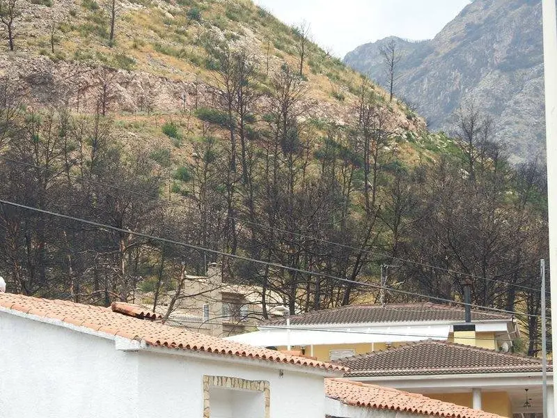Incendio en la zona del a&ntilde;o pasado