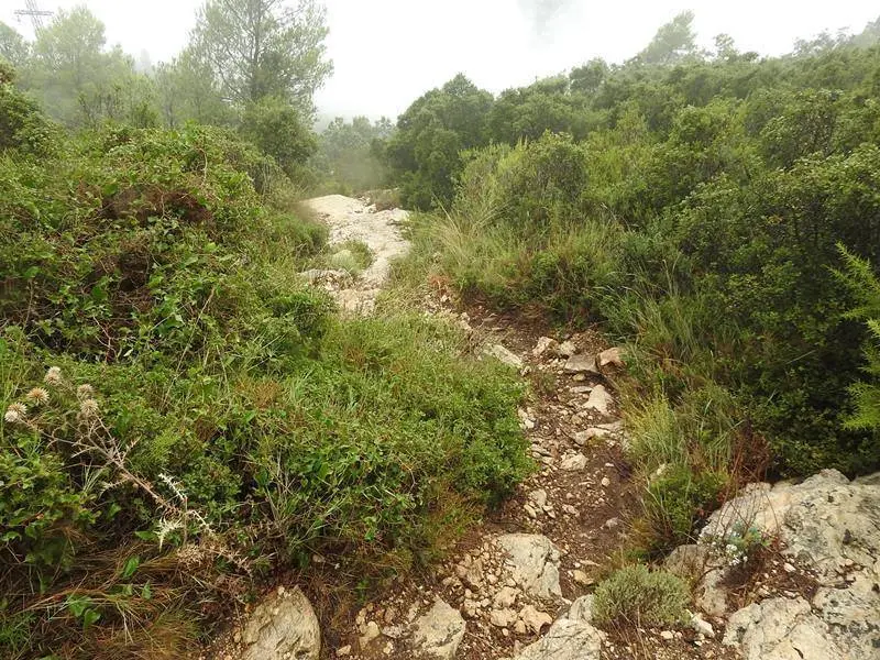 La antigua senda