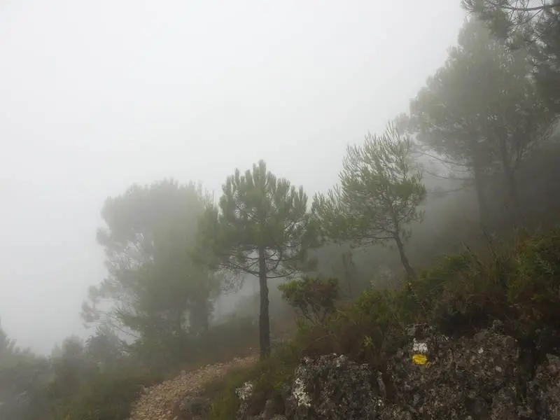 La antigua senda