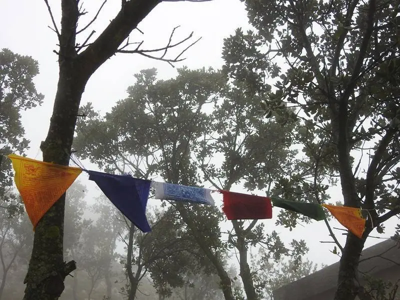 Gui&ntilde;o nepal&iacute;