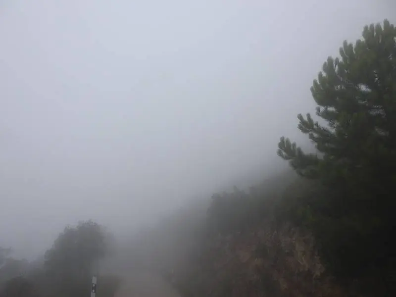 Otro poco de niebla