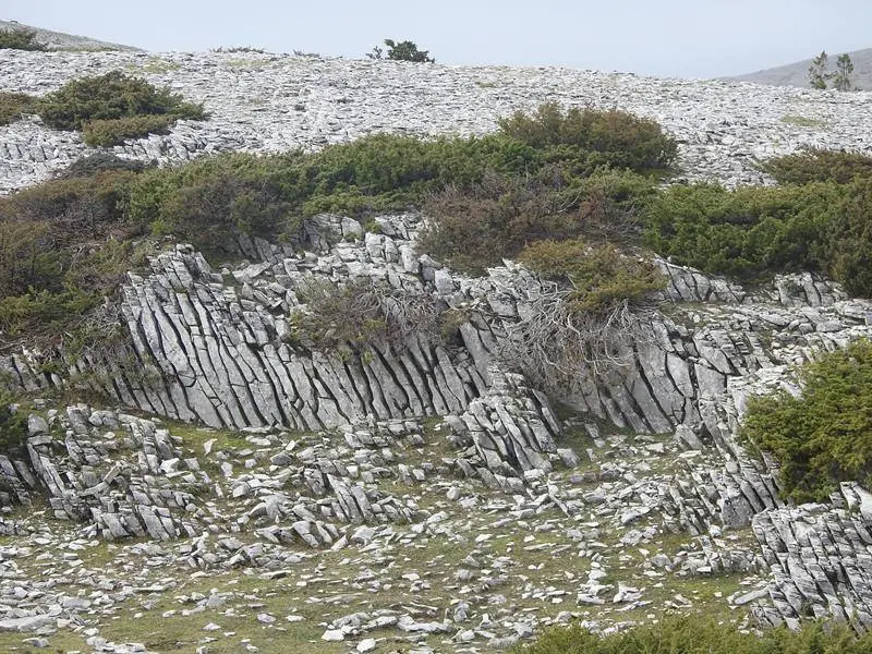 El paisaje t&iacute;pico de la loma