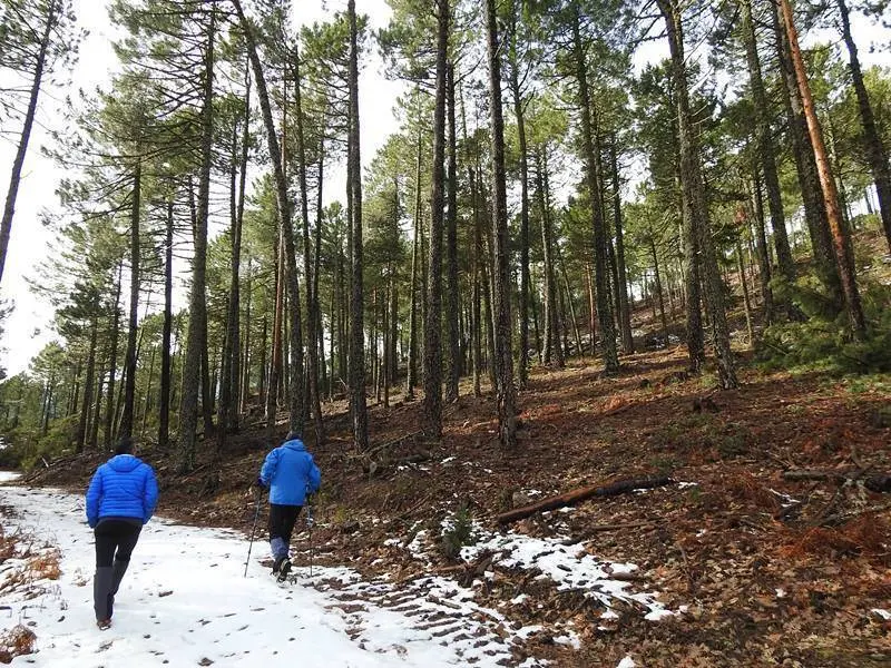 Todav&iacute;a m&aacute;s barro que nieve