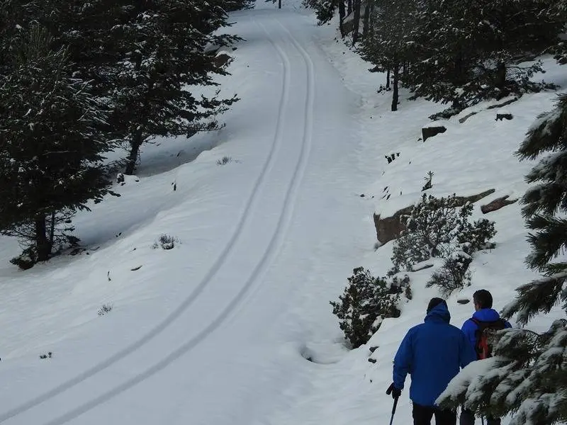 Llegamos a la pista