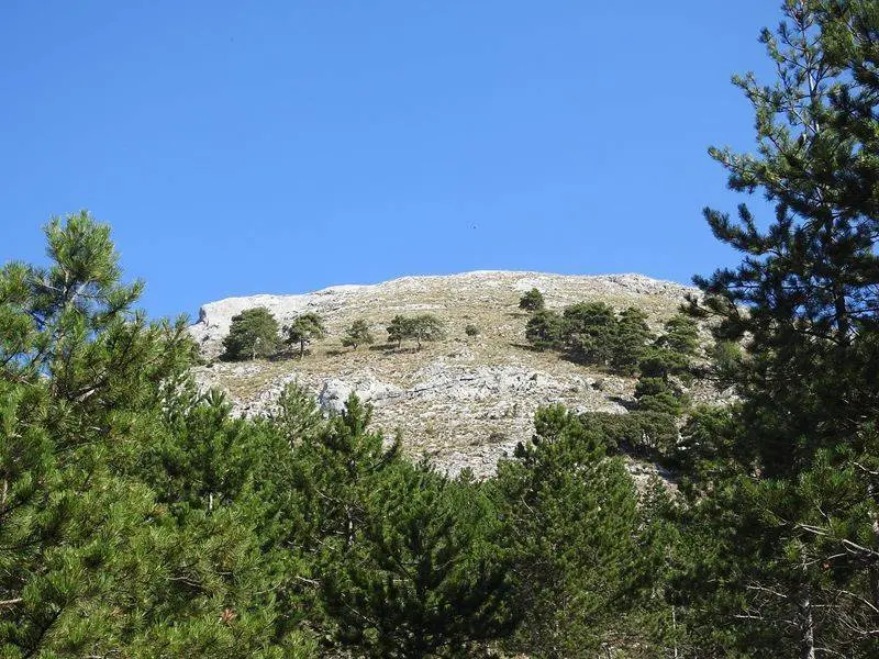 Se insin&uacute;a el Almenara